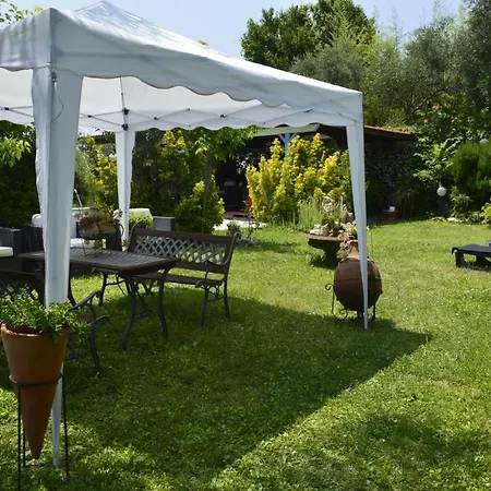 Villaggio Naif Lavanda * Monterotondo (Lazio)